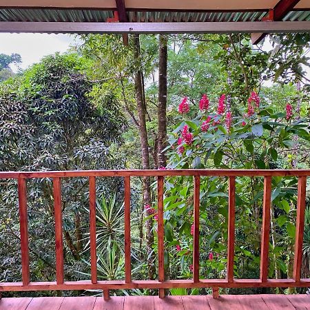 Princesa De La Luna Ecolodge La Fortuna Luaran gambar