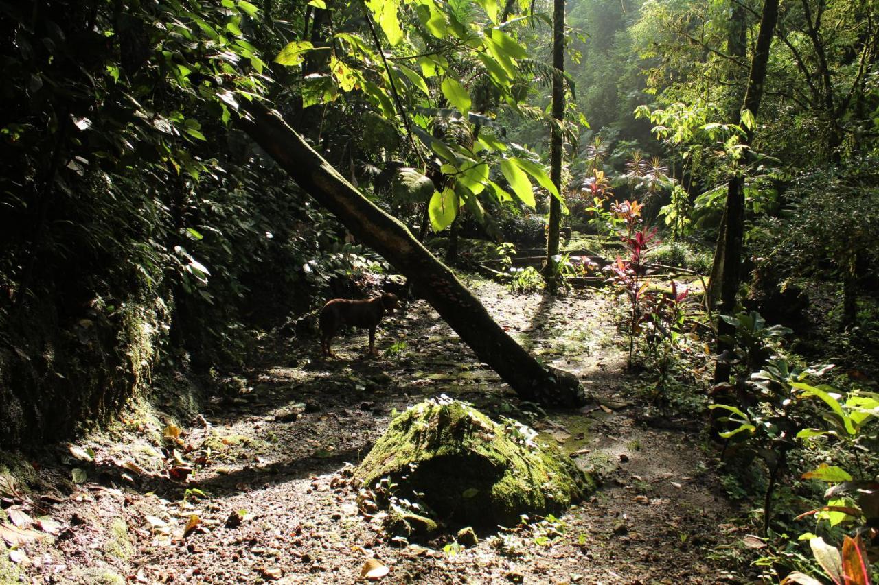 Princesa De La Luna Ecolodge La Fortuna Luaran gambar