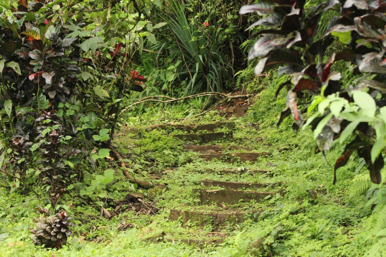 Princesa De La Luna Ecolodge La Fortuna Luaran gambar