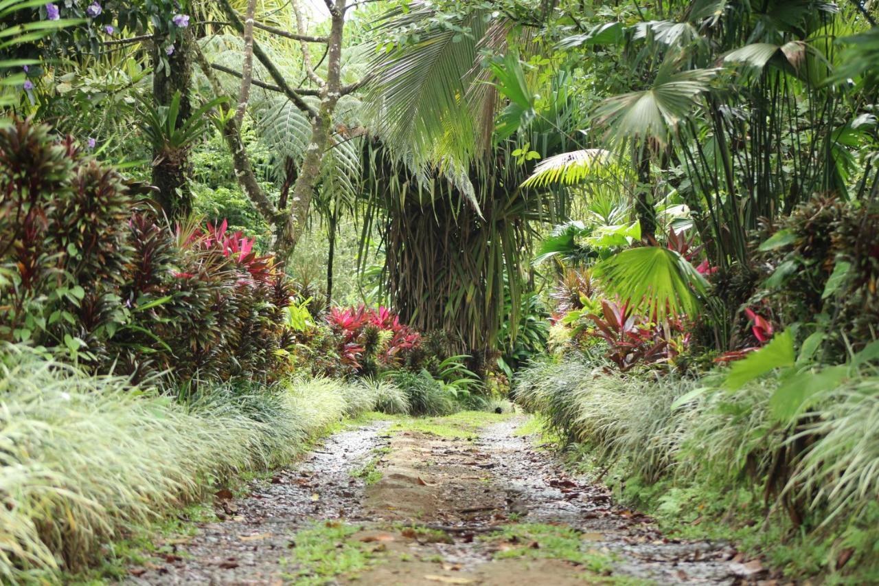 Princesa De La Luna Ecolodge La Fortuna Luaran gambar