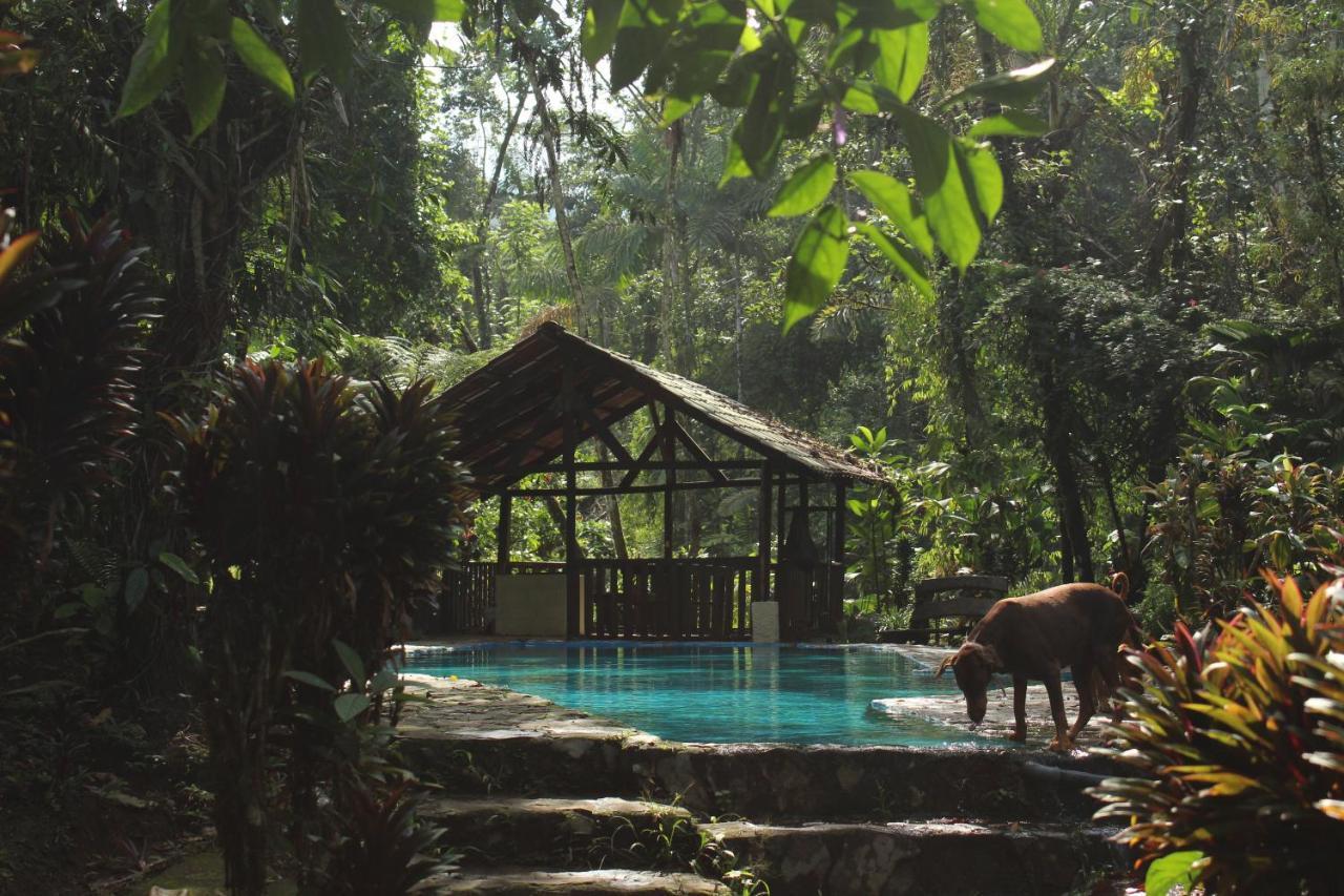 Princesa De La Luna Ecolodge La Fortuna Luaran gambar