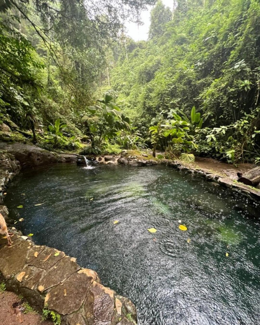 Princesa De La Luna Ecolodge La Fortuna Luaran gambar