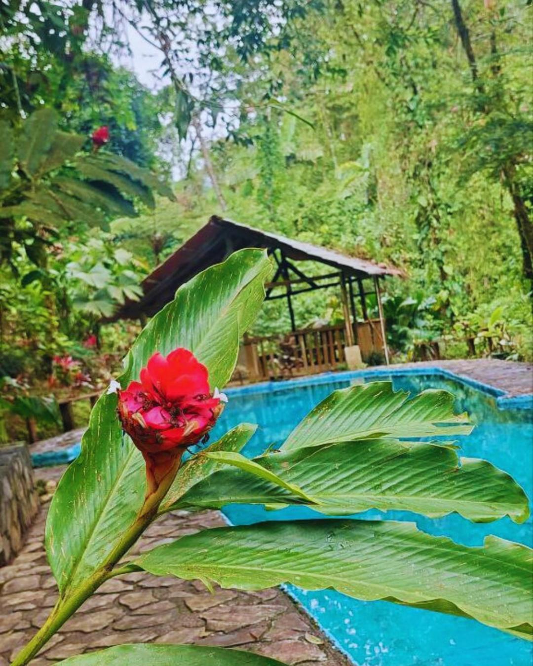 Princesa De La Luna Ecolodge La Fortuna Luaran gambar