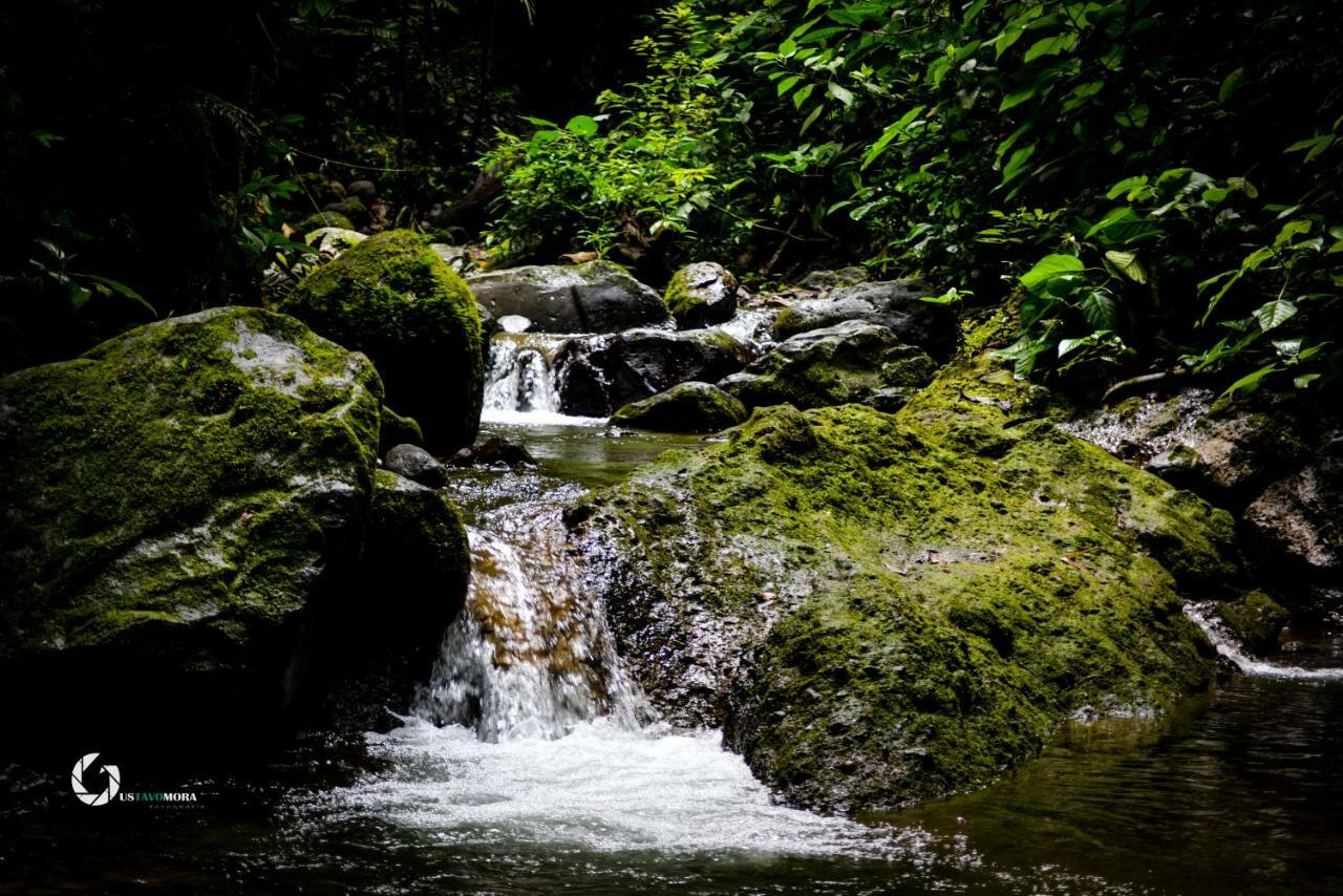 Princesa De La Luna Ecolodge La Fortuna Luaran gambar